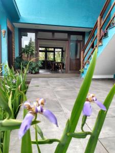 a group of purple flowers in front of a building at Pousada Vila Guyrá in Florianópolis