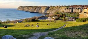 a group of people sitting in the grass near the ocean at Cozy Yellow Home in Getxo in Getxo