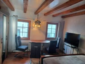 Fotografie z fotogalerie ubytování See- und Altstadthäusle - alles direkt vor der Haustür - Bodenseeufer Natur Altstadt Bahnhof Bora-Sauna - klein und super zentral zum See ÖPNV Stadt Natur etc - Appartement Historica v destinaci Radolfzell am Bodensee
