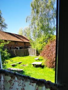 Ogród w obiekcie Mazurskie Klimaty - niezależny, ogrodzony dom