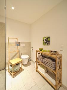 a bathroom with a toilet and a shelf with towels at Hof Maiholm - Sattelkammer in Medelby