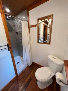 a bathroom with a toilet and a shower and a mirror at Vintage Downtown Cabin in Squamish