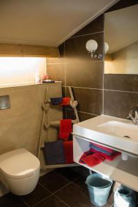 een badkamer met een toilet en een wastafel bij de Huttert Opkamer in Luttenberg
