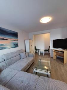 a living room with a couch and a flat screen tv at Skajla Apartments in Medulin