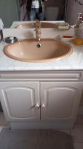 a sink in a bathroom with a white counter at La Grange de Marcel in Retournac