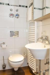 ein Badezimmer mit einem weißen WC und einem Waschbecken in der Unterkunft Apartment Altstadt Passau in Passau