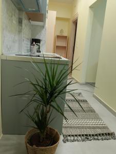 a plant in a basket sitting in a kitchen at Black Eagle's Nest (studio) in Drama