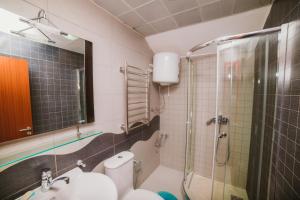a bathroom with a shower and a toilet and a sink at Apartment DV Magnolia in Tivat