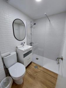 ein Badezimmer mit Toilette, Waschbecken und Spiegel in der Unterkunft Fray Isidoro Apartment in Sevilla