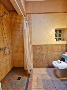 a bathroom with a shower and a toilet at Casa Studio Migjorn, immersi nel verde a due passi dal mare in Es Calo