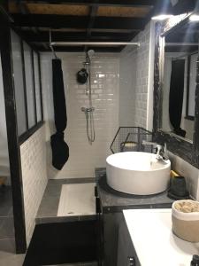 ein Badezimmer mit Waschbecken und Dusche in der Unterkunft Appartement loft 60 m2 centre ville in Sète + 10 Fotos