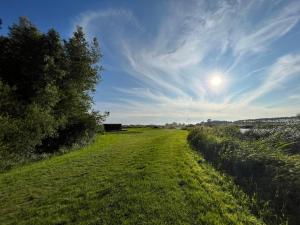 un champ d'herbe avec le soleil dans le ciel dans l'établissement De Fuut, à Nieuwe-Niedorp