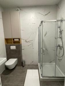 a bathroom with a glass shower and a toilet at Apartment ALPHA in Banja Luka