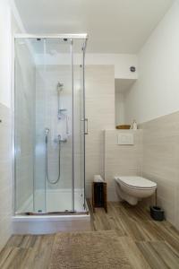 a bathroom with a glass shower and a toilet at Seventh house in Ilirska Bistrica