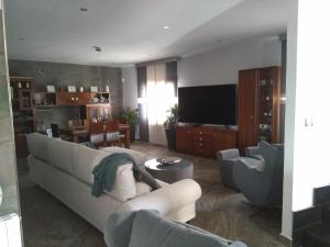 a living room with a couch and a television at Rural Villa Garcia Molina Baza in Baza