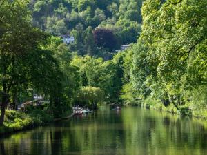 un río con árboles y barcos en el agua en 2 Bed in Matlock 80535, en Matlock