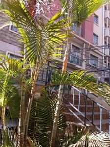 a palm tree in front of a building with a staircase at Best suites Mvuli in Nairobi