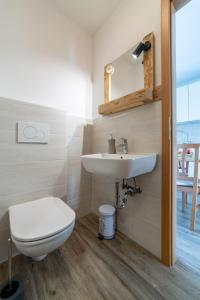 a bathroom with a toilet and a sink at Seventh house in Ilirska Bistrica