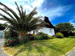 un palmier devant une maison blanche dans l'établissement Résidence des Rhodos, proche Lorient, à Caudan