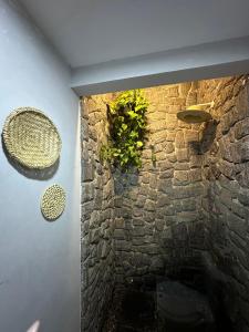 a stone wall with a plant on it at Kite inn house Pousada e Kite Club in Icapuí