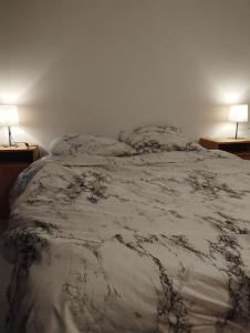 ein Bett in einem Schlafzimmer mit zwei Lampen an zwei Tischen in der Unterkunft appartement discount sortie de Besancon LE MONTANA in Chevigney-sur-lʼOgnon