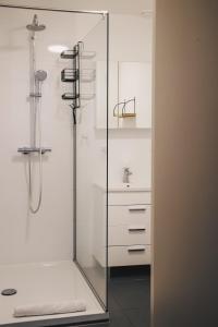 a bathroom with a glass shower and a sink at Smartflats - L'Orangerie IV Maastricht in Maastricht