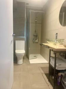a bathroom with a shower and a toilet and a sink at Apartamento Loft centro Santiago in Santiago de Compostela