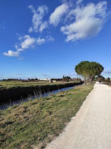 Příroda nedaleko apartmánu + 14 fotografií