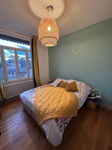 Tempat tidur dalam kamar di Belle maison de ville dans Lyon