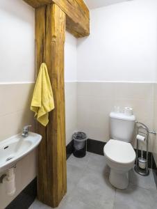 a bathroom with a white toilet and a sink at Panská sýpka in Sedlec