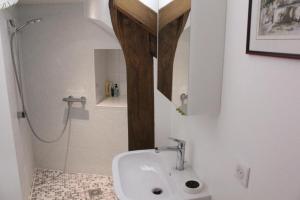 a bathroom with a sink and a shower at Maison de Noble Nicolas in Avallon