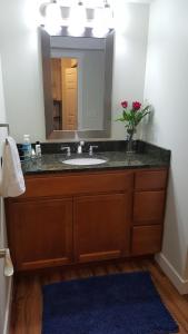 a bathroom with a sink and a mirror at Modern and Pristine Condo -By the GT Commons in Traverse City