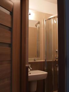 a bathroom with a sink and a shower and a toilet at Leśny Dworek in Wyszk&oacute;w