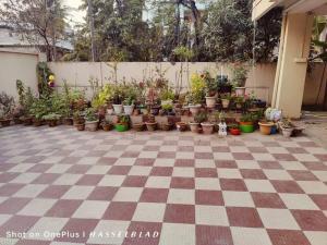 Zahrada ubytování Dreams Abode + 2 fotografie