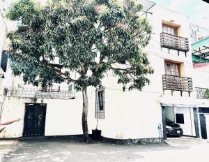 uma árvore em frente a um edifício branco com uma porta em VILLA COLOMBO7 5BR HOLIDAY HOME UP to 10 Guests em Colombo