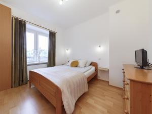 Televízia a/alebo spoločenská miestnosť v ubytovaní Franciszkanska Blueberry Apartment
