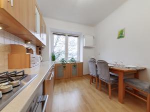 Kuchyňa alebo kuchynka v ubytovaní Franciszkanska Blueberry Apartment