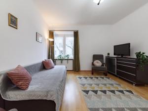 Televízia a/alebo spoločenská miestnosť v ubytovaní Franciszkanska Blueberry Apartment + 13 fotografií