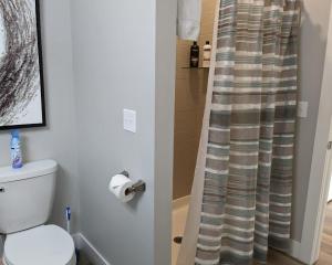 a bathroom with a toilet and a shower curtain at Spacious Condo Downtown Traverse City in Traverse City +54 photos