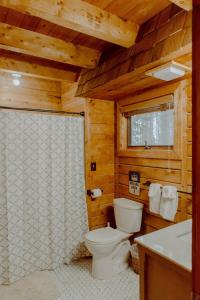 La salle de bains est pourvue de toilettes et d'une douche dans une cabine. dans l'établissement Crystal Mountain Cabin Get Away, à Thompsonville