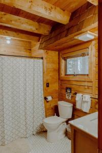 a bathroom with a toilet and a shower in a cabin at Crystal Mountain Cabin Get Away in Thompsonville