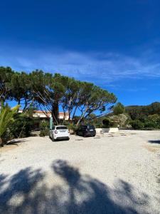 two cars parked in a parking lot with a large tree at Le Refuge in La Croix-Valmer