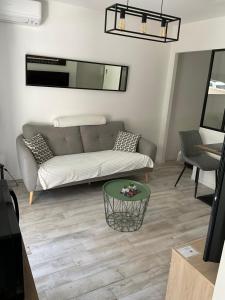 een woonkamer met een bank en een tafel bij Studio coin nuit terrasse parking Clim in Nice