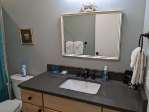 a bathroom with a sink and a mirror at Grand Traverse Commons Condo in Traverse City