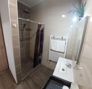 a bathroom with a shower and a sink at Habán Lux Apartmanház in Hévíz