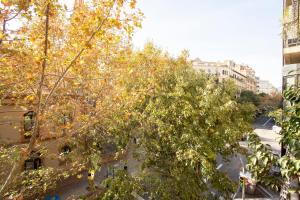 uma árvore com folhas amarelas numa rua da cidade em Bright Sunny Apartment in central Exiample em Barcelona