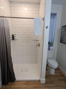 a bathroom with a shower and a toilet at Capri Condo in Downtown Traverse City in Traverse City