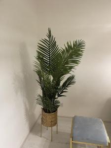 a potted plant in a room next to a chair at Inviting 1-Bed Apartment in London in London