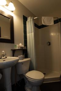 a bathroom with a toilet and a sink and a shower at YWCA Banff Hotel in Banff