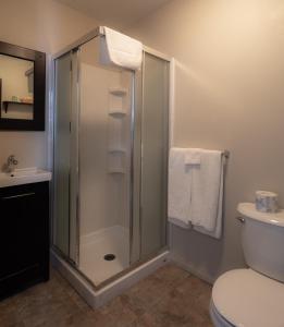 a bathroom with a shower and a toilet at YWCA Banff Hotel in Banff